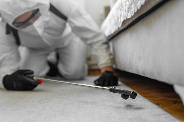 Professional Termite Control technician working in Fayetteville, WV