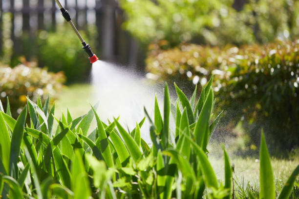 24/7 Emergency Termite Control experts in Fayetteville, WV