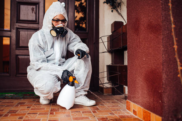 Reliable Termite Control contractor in Fayetteville, WV by Nex Pest Control