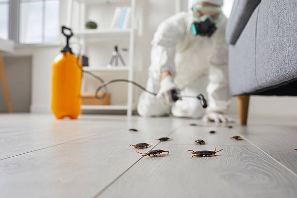 Trusted Termite Control service in Fayetteville, WV - Nex Pest Control