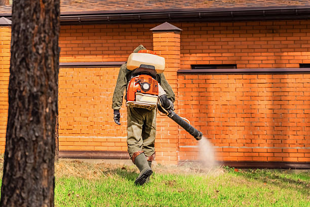 Trusted Termite Control service in Fayetteville, WV - Nex Pest Control